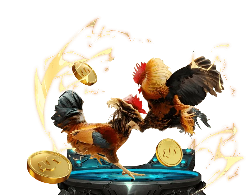 Trực tiếp đá gà cựa sắt và đá gà Thomo tại đa gà 67